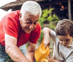 Canberra to grow into age-friendly city