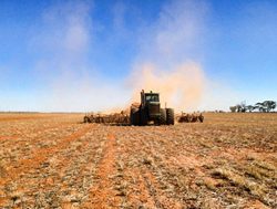 ABARES finds farmers short on subsidies