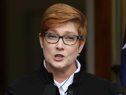Ministers ready for family violence probe