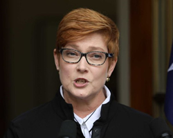 Ministers ready for family violence probe