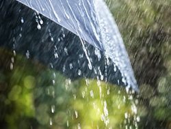Weather Bureau forecasts wet winter