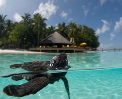 Asian-based accommodation group Banyan Tree launches 25th-anniversary book