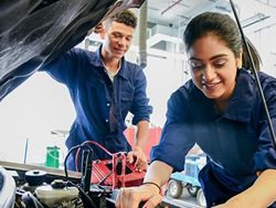 Training for jobs report finds faults