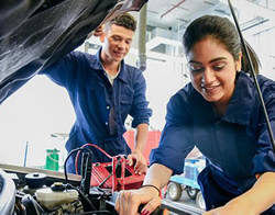 Training for jobs report finds faults