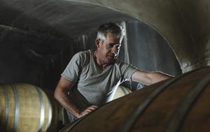 A Yarra Valley revival