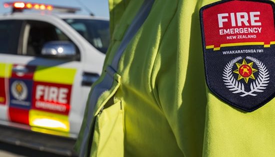 NEW ZEALAND: Pandemic boosts PS reputation