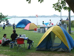 Campsites intent on taking bookings