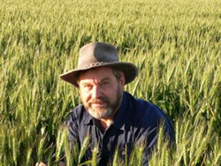 Grain growers urged to keep pests at bay