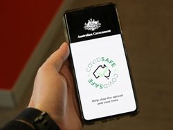 Translating COVID app talk of the town