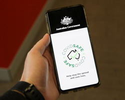 Translating COVID app talk of the town