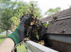 Householders called to clean out gutters