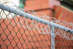 Ombudsman OKs detention virus risks