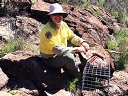 Endangered plant prompts NPWS action