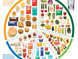 NHMRC weighs in for diet review
