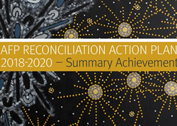 Police take action on Indigenous plan