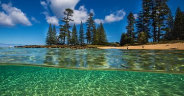 Holiday ‘overseas’ in the panoramic world of Norfolk Island