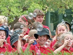 Public school popularity hits new records