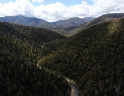 Namadgi opens gates to welcome visitors