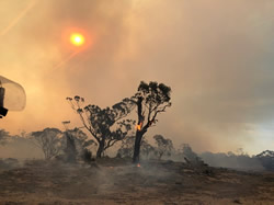 New Centre to study natural disasters
