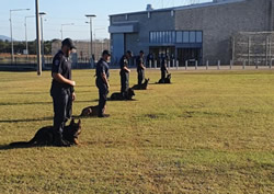 Correction dog handlers learn new tricks