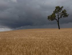 Bureau readies for stormy Spring ahead