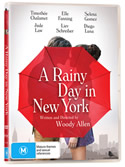 A Rainy Day in New York