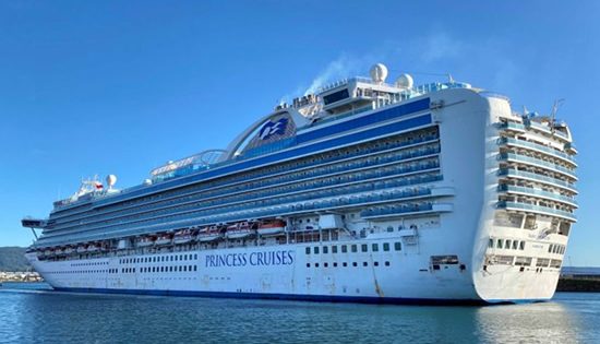 Mistakes surface in Ruby Princess inquiry
