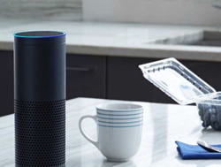 Hackers access history: An Alexa bug could expose peoples voice history