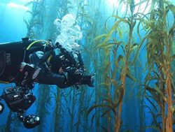 Weather partnership to measure sea heat