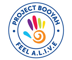 Permanent funding for Project Booyah