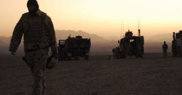 New office to address veteran suicides