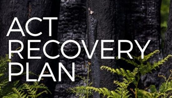 Long term plans for bushfired Namadgi