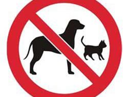 Pets in parks warned on cat-astrophes