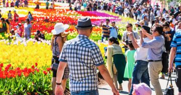 Reimagined: Canberra’s 2020 Floriade spring celebrations