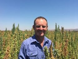 Plant researcher plants new crop