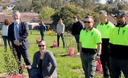 College tree day takes a bough