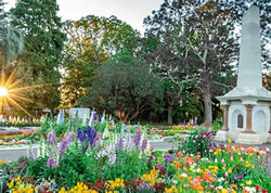 Flower carnival to bloom into future