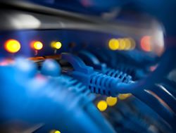 Services Australia passes risk audit