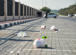 Plastic bag ban limiting litter