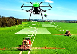 Report Finds Digital Future For Agriculture | PS News