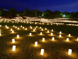 Food to shine as Candle Festival canned