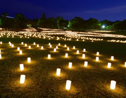 Food to shine as Candle Festival canned