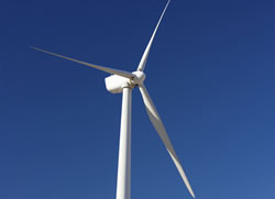 Renewable energy blowing in the wind