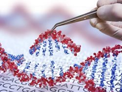 What is CRISPR? The gene editing technology that won a Nobel prize