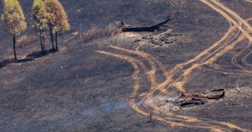 Auditor cool on bushfire co-working
