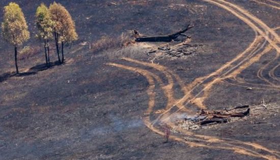 Auditor cool on bushfire co-working