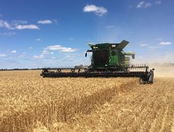 New training a gain for grains