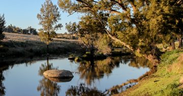 NRAR water task a dry argument