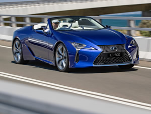 Top Down Delight