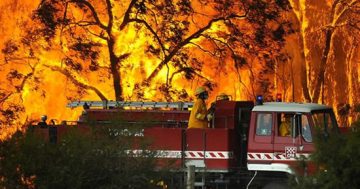 Wider role for APS in disaster control